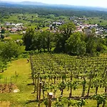 Zidanica Jakse - Vineyard Cottage Дом отдыха *