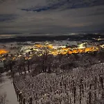 Holiday home Zidanica Jakse - Vineyard