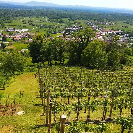 Zidanica-vineyard Jakse Prázdninový dům *