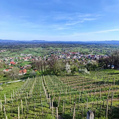 Zidanica Jakse - Vineyard Cottage Дом отдыха Semic