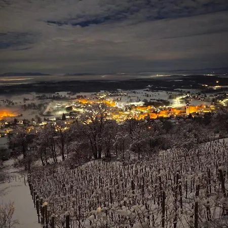 Prázdninový dům Zidanica-vineyard Jakse
