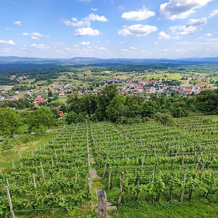 Prázdninový dům Zidanica Jakse - Vineyard Cottage Semic