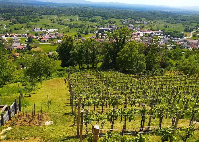 Zidanica-vineyard Jakse Casa vacanze *