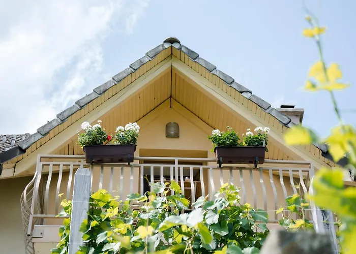 Zidanica-vineyard Jakse Semic