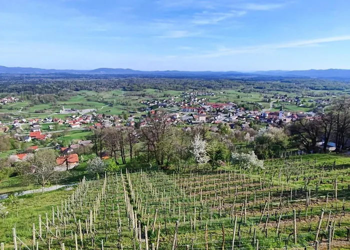 Zidanica-vineyard Jakse Casa vacanze Semic