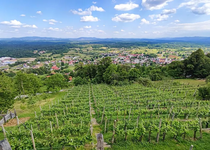 Feriehus Zidanica-vineyard Jakse Semic
